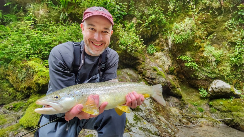 Marble trout.